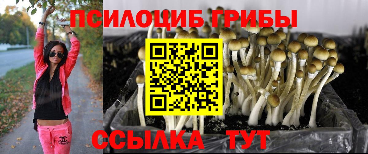 Галлюциногенные грибы Psilocybe  Вход с VPN  Старая Купавна  Псилоцибиновые грибы Magic Shrooms 
