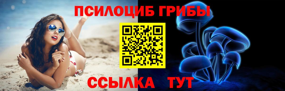 Псилоцибиновые грибы GOLDEN TEACHER Старая Купавна